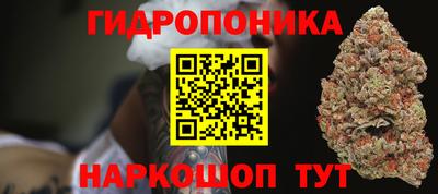 дурь Шелехов