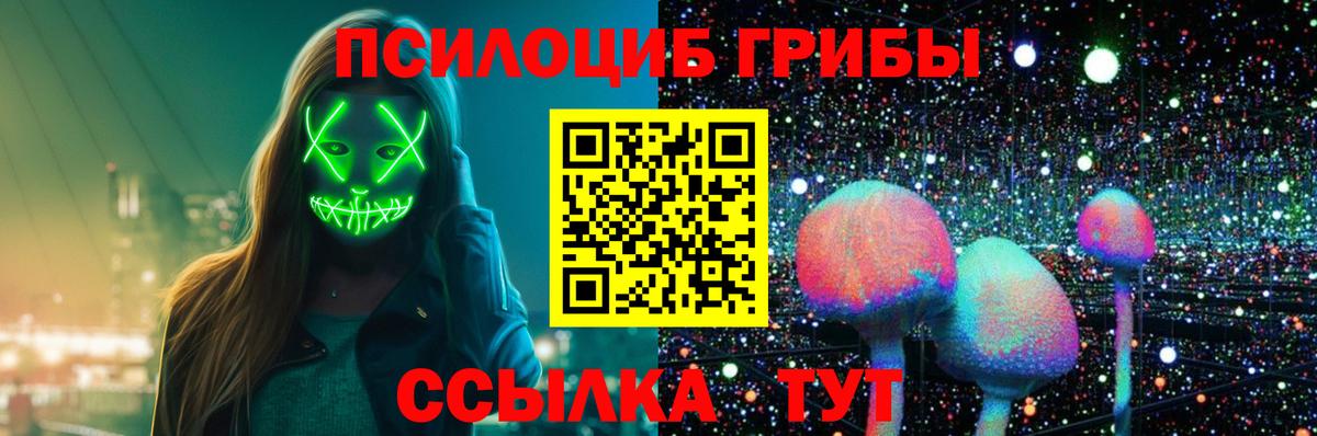 Псилоцибиновые грибы Psilocybine cubensis  Вход с VPN  Старая Купавна 