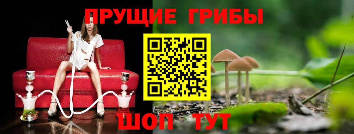 Галлюциногенные грибы мухоморы Старая Купавна