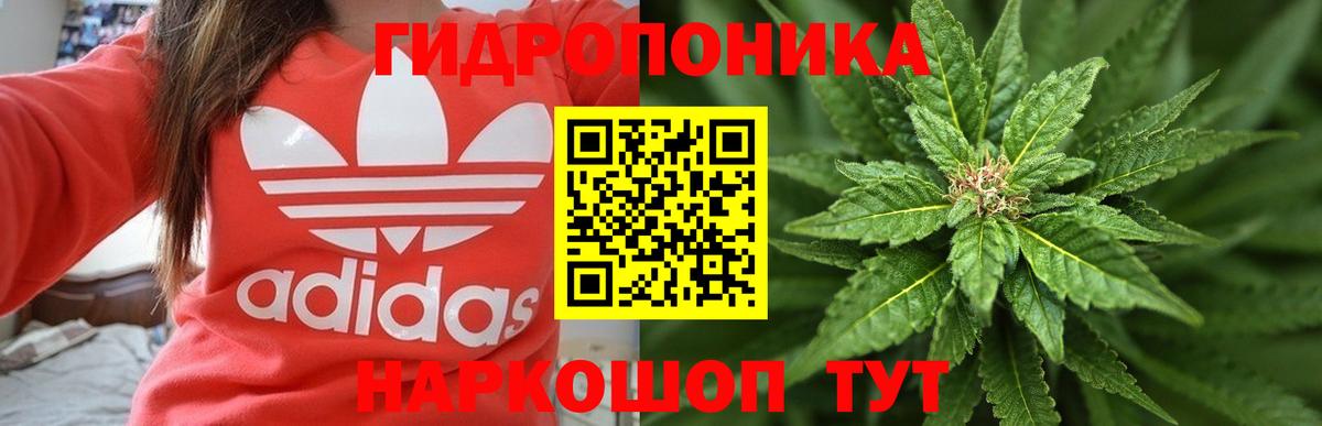 Бошки Шишки AK-47  Бошки Шишки планчик  Старая Купавна  Конопля Amnesia  Вход с VPN 